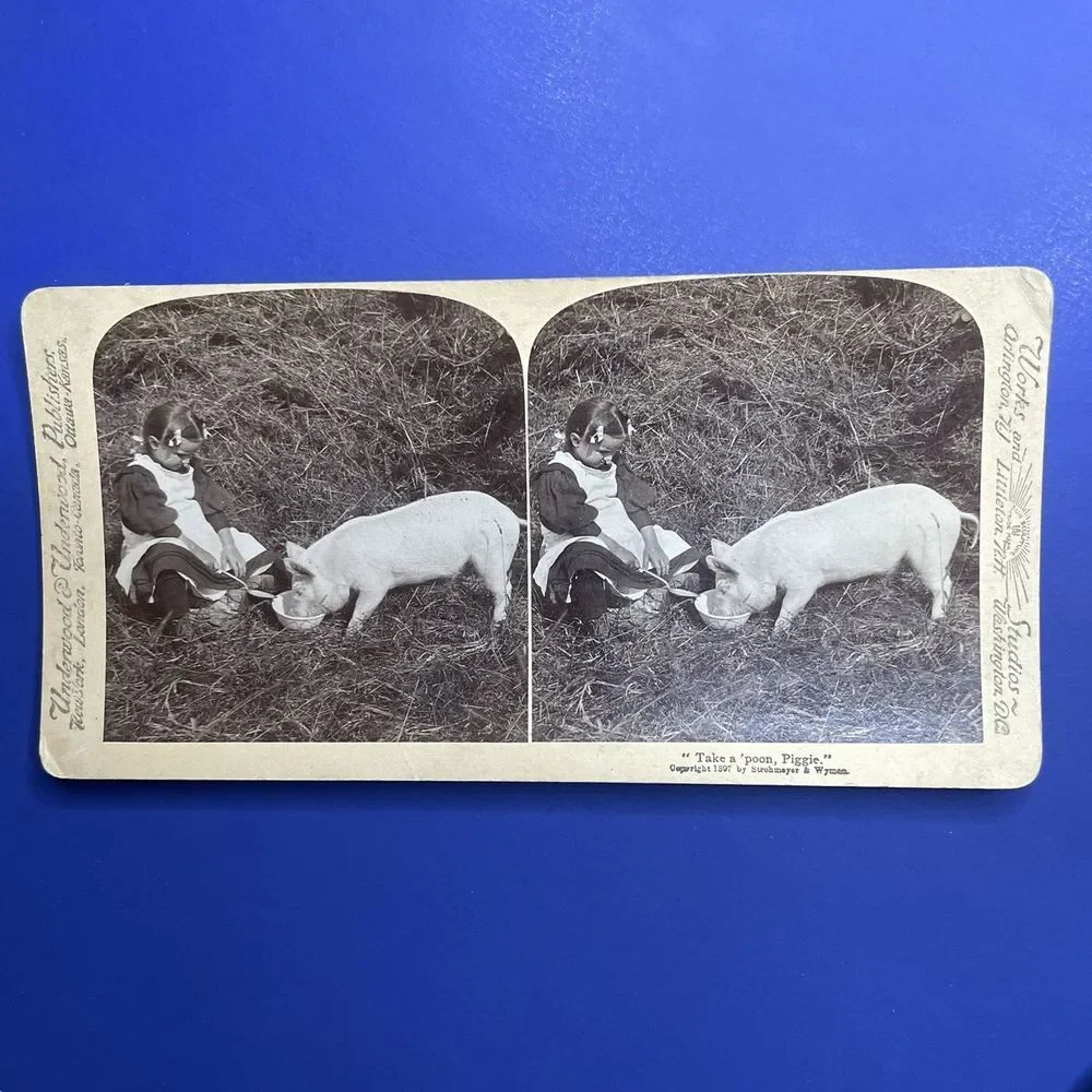 Antique Stereoview Card Underwood &‎ Underwood Take a Poon Piggie Girl Feed Pig